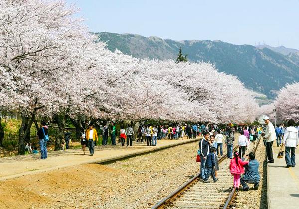 פλ˹碌ˬ䤷ַ꤬̾(ե)ءס2015ǯޤ֤ԤƤơΥȥͥȴƤ֤ǤߤϱԤλؼ֤ȵҼ֤ŸƤޤϩץåȥۡĤäƤơϩ֤αԤϽλƤ뤿Ἣͳϩ˹ߤ졢ߤޤäƤ֤ȺХå˼̿ޤ