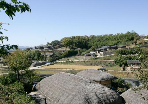 �س��ե��꡼�ǹԤ� ��ƶ¼��ʩ��� �ե��ȡ����������ԷĽ���3����