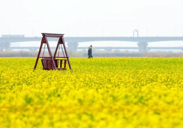 ���ڥ����ѡ����Ϻ���軰��ƶ�����칾�դ˰��֤����̱����Ǥ�����ǯ�դˤʤ�ȡ����칾�򶴤�ǹ�������Υȥ�ͥ�Ⱥڤβ�Ȫ��Ʊ���˳ڤ������Ȥ���ͭ̾�Ǥ���4���ܤˤϡֻ��ںڤβֺפ�פ������졢�����Ϥ���������񤫤�ԳڵҤ����ޤ�ޤ����פ�Υ�������ˤʤ�Ȥ��������˥ե��ȥ������ߤ���졢�͡��ʥ��ȥ꡼�ȥѥե����ޥ󥹤ʤɤ��Ԥ��ޤ���