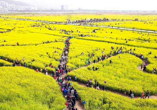 �Գ����ղ��⿧�νդˤĤĤޤ�ơ�����׺ڤβ֤γڱ� 3����