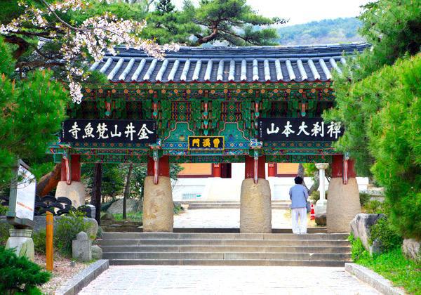 �����ζ�滳���ʤ�������ϡ���������678ǯ�˷�Ω���줿���ڹ��������ΰ�Ĥ˿�������̾��Ǥ����ֶ������񤤹ߤꤿ�⿧�ε��פȤ������⤬̾����ͳ��ȤʤäƤ��ꡢ�����礫��³����������ƻ��ˬ���Ԥ򸷤��ʶ�������߹��ߤޤ���������¤ֹ�����η���ʪ������ϡ�ī�������ʩ�����ۤο�򽸤᤿��Ρ������ǺǤ�ʼ��⤤�����Ȥ��ơ�����¿���ο͡��ο��Ĥ򽸤�����Ǥ���