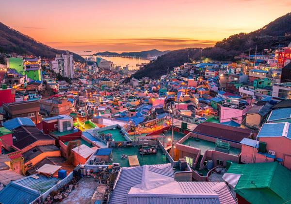 �ִڹ�Υ���ȥ꡼�ˡפؤ褦������SNS������Υ���ե����ʥ��ݥåȡ����̤˱�äƥѥ��ƥ륫�顼�βȡ������ʾ����¤ֻѤϡ��ޤ��˳����Τ�����ʥ����Ⱥ��ʡ�ϩ��΢�ˤϲİ����ɲ�䥪�֥�������졢�ɤ����ڤ��äƤ�ǹ��1�礬�����ե��ȥ����˥å������ϤǤ������ֿ͵��Ρ����β��Ҥ��ޡפȰ��ˡ��������Ĥ����ȳ��¤ߤ��˾������ˡ�Τ褦�ʷʿ���Хå��ˡ��פ��ФΥ���å������ڤ�ޤ��󤫡�