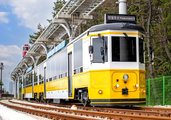 �����ο��������ɥޡ����Ȥ�������Ρֳ�����֥롼�饤��ѡ����ס����ĤƤ������פ�Ƴ�ȯ����������֤ϡ���ȥ��ǰ��餷�����Ѥ�ι���Ͷ���ޤ������ʤ�����������٥�������ȤˤʤäƤ��ꡢ�뤤�äѤ��˹�����ΤϤɤ��ޤǤ�³���쳤�ε��������Ϥ褤�ɤ�˿Ȥ�Ǥ��������Ѥ����������������į�����֤ϡ��ޤ�����ͤΤ���������������ʤǤ���Ĭ���򴶤��ʤ��顢ͥ���ʶ���γ��ջ����������Ǥߤޤ��󤫡��ʲ����󶡡��ڹ�Ѹ����ҡ�