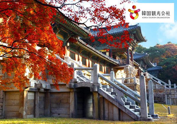 �ԷĽ���ʩ����ι��դ������¤β��⥤���祦 3��̾ʪ��̣�臘 3����