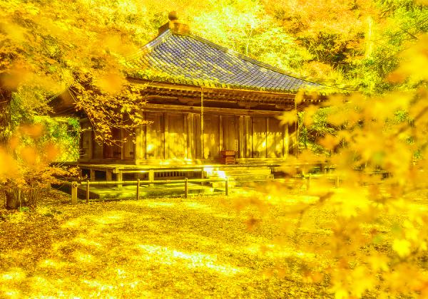 ڤߤξһȲ⿧ٵ۶ӽΥ٥ȥ衪Х90ʬդ