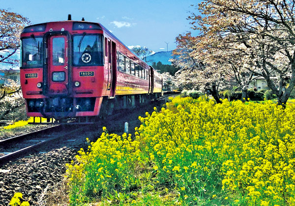 �ڤ�����ڤβֻ���ȥ���������֡۽դε����������αؤء����۱��ο͵��Х������뿩�ա�