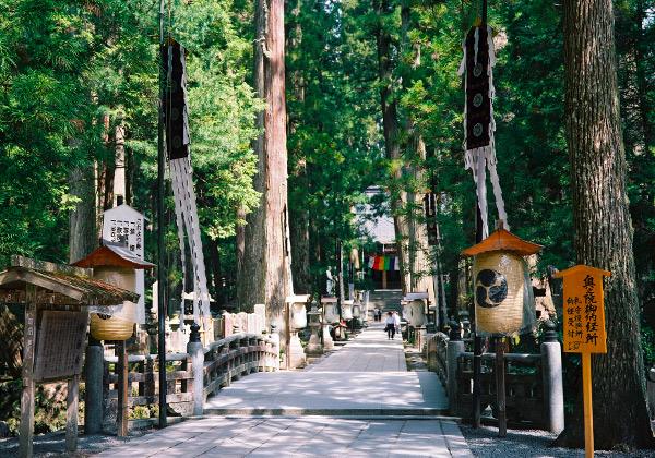 �ڹ�����黲��������ι�η�������ͤˤ���𡪵��ԤΥ���ܥ�޽��������⻲�ҡ�