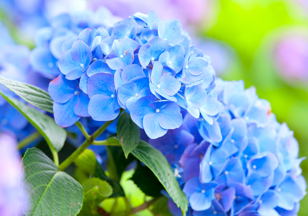 ��Ȭ�̻����������ȿ��ڽ��в־Գ��ۤ��äȤ���������Ƥβֽ�ꡪ�Х����󥰥�������̣��