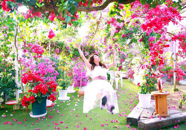 ��5�ĤΤ�˫���ߥ��ƥ꡼�ĥ����۴Ѹ��⿩�����θ��⽼�¤ΥҥߥĤ�ι��3�󥷡��ȥХ����ѡ�