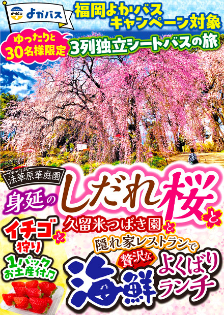 ��Ŭ��3����Ω�����ȥХ��ǹԤ���<br>��󥯥饹��δ����ΤҤȤȤ���<br>����30̾�͸���������Х��ĥ�����