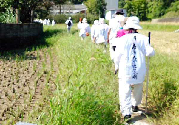 お遍路の旅 検索結果 旅行会社 第一観光