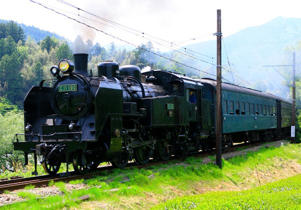 絶景の大井川鐡道slと久能山東照宮と三保の松原 お遍路の旅 旅行会社 第一観光