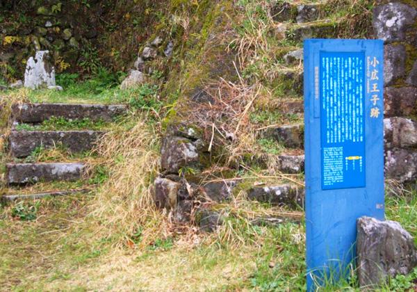 4 [25ǯȯ] Ͳ ƻϩ롼ȡ⤭顦ե꡼ѡ[ʡȯ]