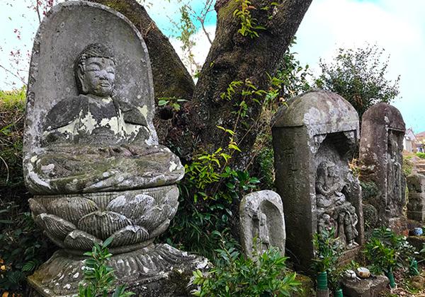 10 [25ǯȯ] 载 彣ȬȬɴȬХ[ʡȯ]