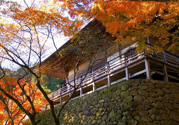 Gotoトラベル 錦秋の国東半島ベストルート 富貴寺 と 両子寺 バスツアー 旅行会社 第一観光