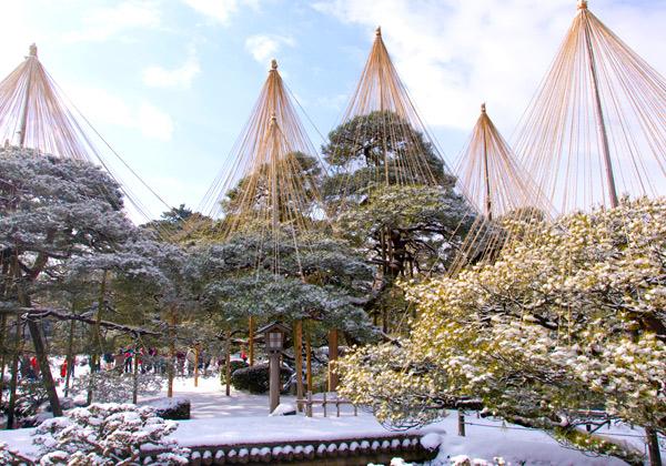 人気の観光地、「金沢」をたっぷりとご案内！「兼六園」は日本三大庭園のひとつで冬の風物詩、雪吊りの装いでガイド付きご案内致します。さらに日本近代アートの金沢21世紀美術館や石川県庁の展望ロビーからの眺望等、金沢の魅力いっぱい！(イメージ)