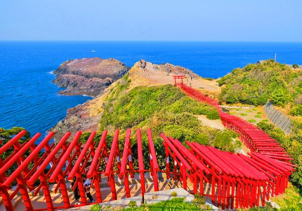 アメリカCNNテレビが｢日本の最も美しい風景31選｣に認定し、日本一お賽銭を入れにくい神社としても有名な【元乃隅神社】も訪ねます♬（※イメージ）