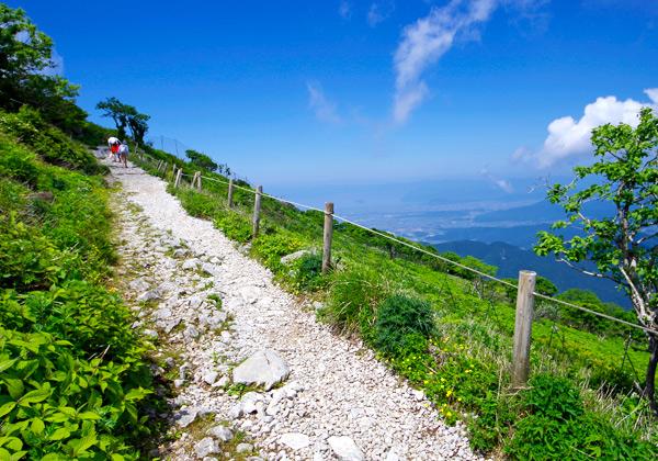 【伊吹山・西登山道】日本百名山のひとつ、関西の名峰「伊吹山」は滋賀県と岐阜県にまたがる山登りで大人気の観光地です。山頂標高は1,377ⅿで真夏でもひんやりの涼スポットでもあります！ドライブウェイからの壮大な景色を楽しみながら山頂付近までバスで楽々、登頂。高山植物が咲き誇るまさに天空のお花畑！(イメージ)