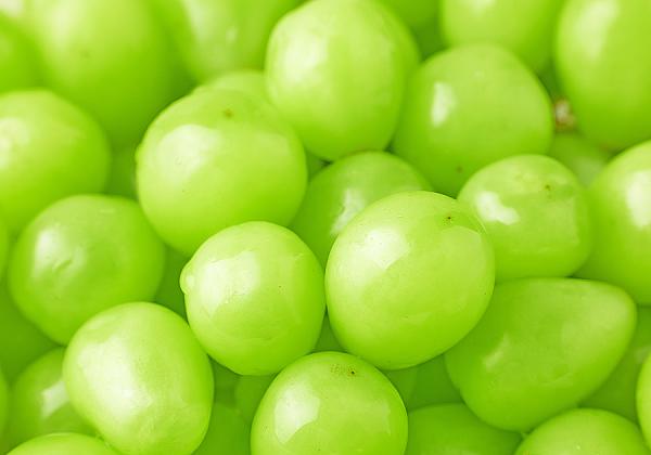˵ ϥ㥤ޥåȿ♬ 9ƺޡ