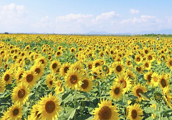 ǯ¤줿̸֤䤫ʽɤٺ餭Ҥޤβߤ̶ĤҤޤˬͤޤʢ᡼