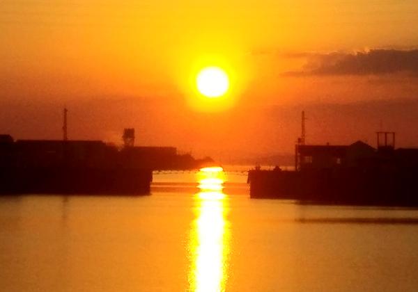 仺ܤλȳ̿仺Ͽ10ǯ̵ǰ˥ĥin̶