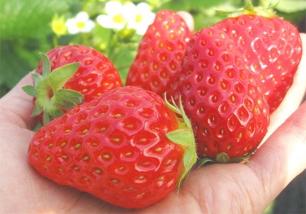 ʼ郎夹ޤǥʥ ݤݤ۵ʥϥŦߤƿʥ30ʬֿʢ᡼