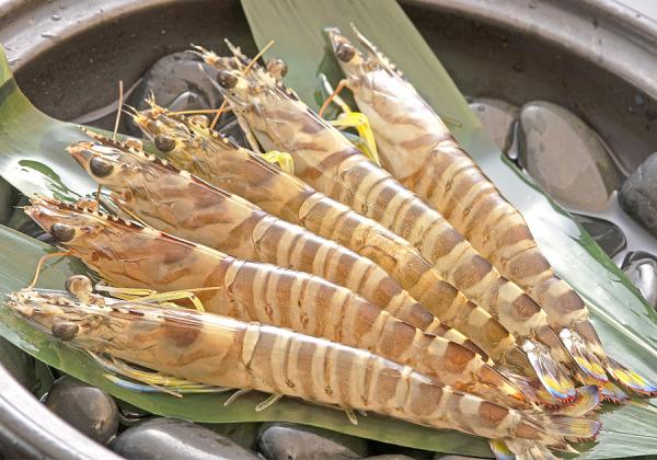 [] פäפ֤ӿαŷܤߤα