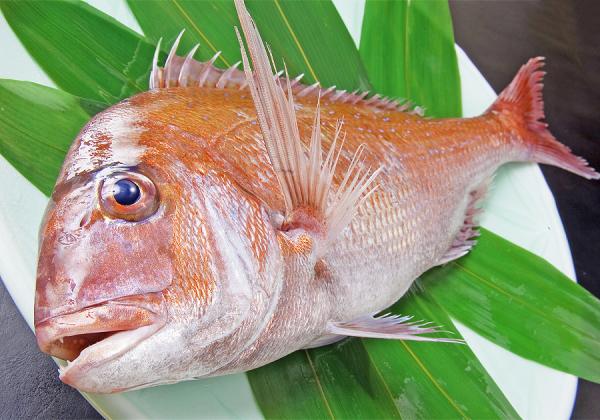 Ѥοvs ̣Ф±ȱɲڤؤä·ƻ3ġ