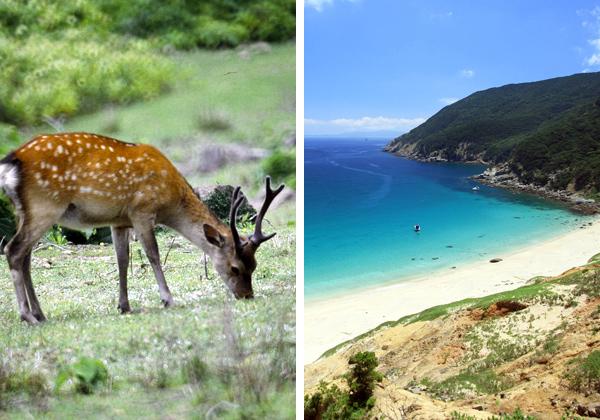 ÆüËܤθ¶É÷·Ê¤ò¿ï½ê¤Ë´¶¤¸¤ë¾®ÃͲìÅ硦ÌîºêÅç¤Ø¡ª