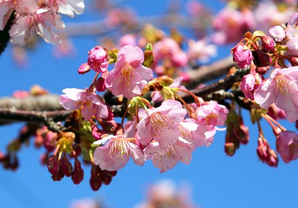 ­ᤤաͱȾβźϰ츫βͤꡪ