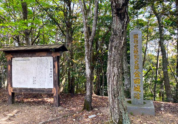 ³ɴ̾θ廳롢ľ5.2kmԡ