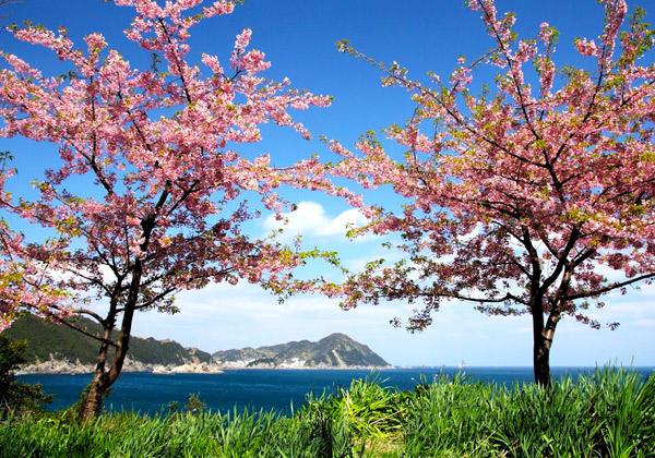 ³¤¤È¶õ¤È²ÏÄźù¤Î¥³¥ó¥È¥é¥¹¥È¤¬¸«»ö¤ÊÄŵ׸«¤Ø¡ª