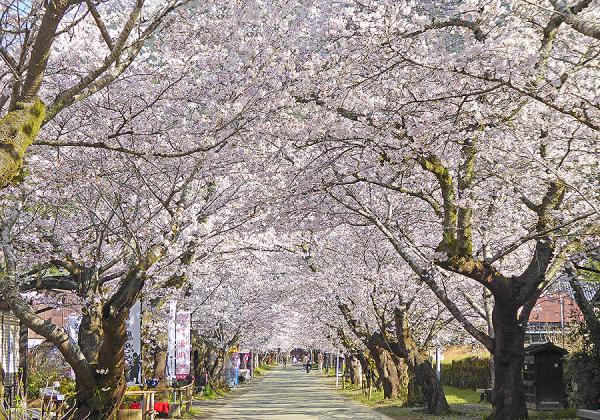 ��Ļ�����齩���Ԯ�˸����ä�³�������Ͼ��ʤ�����ȥ�ͥ�������ξ����Ԥνդ���ɽ�����̾��Ȥ���ͭ̾�Ǥ����ʢ����᡼����