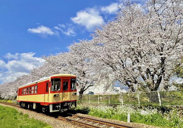 ��ʡ�����������ա۾����Խ���κ��ȥ�ͥ�ȴ���Ŵƻ���ָ���֤������κ����ڤȡ�