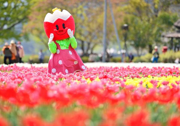 ��ʡ���϶�ȯ��۰쿴���ܤ���� �����פ�ȸ���������塼��åץե������ȥۥƥ��