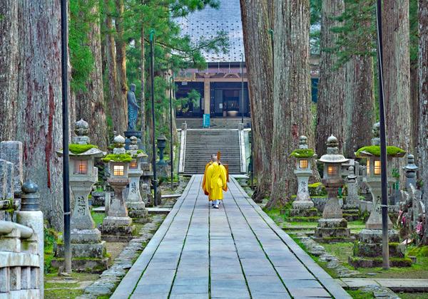 ��Ƿ���ϡ���ˡ��ն����θ�����������ǡ��ž�������¤ֹ�����������Ϥΰ�ĤǤ�������700ǯ��Ķ�������Ω�������Ф뻲ƻ�ϡ�20����ʾ�ζ���������Ф��¤�Ǥ��ޤ��������ˤϹ�²�䤵�ޤ��ޤʳ��ؤο͡������Ф����ꡢ��ƻ���⤯���Ȥǡ�¿���ο͡�����ˤ修�Ĥο����򴶤��뤳�Ȥ��Ǥ��ޤ�����ˡ��ո��������¤ˤ���������Ʋ�Τ���ˤ�����˿ʤ�ȡ���ˡ��դθ����Ǥ���