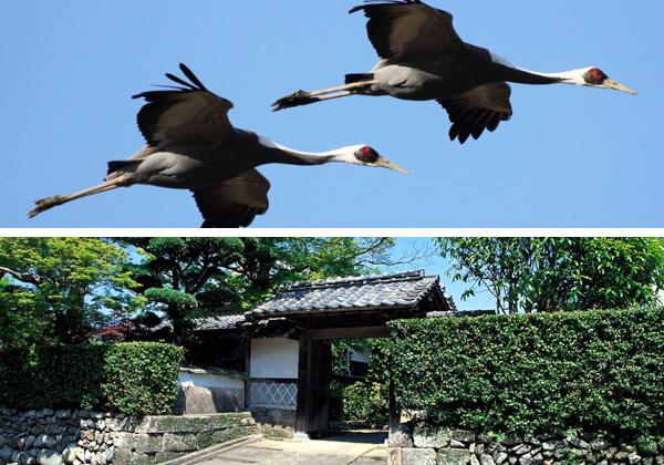 �п�Υĥ�ѾޤȽп�ϼ��Ȳ��߷������Ȳ��Ĳ���2����