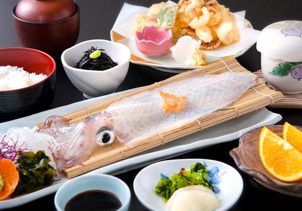 ���ܻ���ī�ԡָƻҤ�ī�ԡפȲ�����褭���������Ⱥ���벼�ҤʤޤĤ�