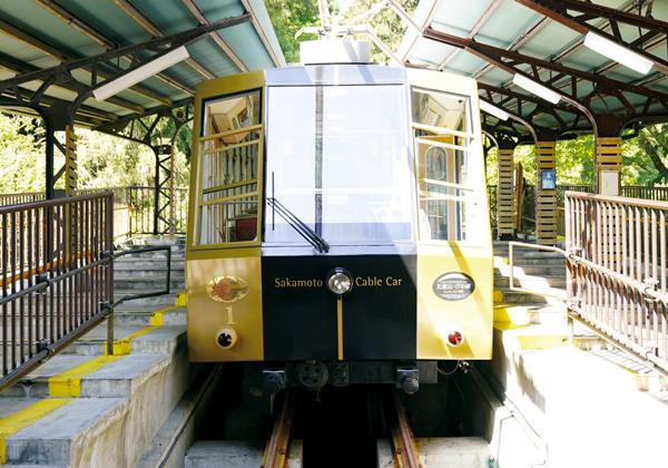 ¾¼ÏÂ2ǯ³«¶È¤Î¡ØºäËÜ¥±¡¼¥Ö¥ë¡Ù¤Ï¡¢ºäËܤ«¤éÈæ±Ã»³±äÎñ»û¤Þ¤Ç¤Î2025m¤ò11ʬ¤Ç·ë¤ÖÆüËܰìŤ¤¥±¡¼¥Ö¥ë¥«¡¼¤Ç¤¹¡£¼ÖÁ뤫¤é¤Î¤¾¤à»³¤¢¤¤¤«¤é¸«¤¨¤ë¡Ö¤Ó¤ï¸Ð¡×¤ä¡¢¼«Á³Ë¤«¤Ê»³Ãæ¤òÁö¤ë¥±¡¼¥Ö¥ë¤Î¼ÖÂΡ¢ÅÐϿͷÁʸ²½ºâ¤Ë¤âÅÐÏ¿¤µ¤ì¤¿ÂçÀµ¥í¥Þ¥ó¤ò´¶¤¸¤ë±Ø¼Ë¤Ê¤É¡¢¼Ì¿¿¤ò»£¤ê¤¿¤¯¤Ê¤ë¥¹¥Ý¥Ã¥È¤¬¤â¤ê¤À¤¯¤µ¤ó¡ª·Ê¿§¤òËþµÊ¤·¤Ê¤¬¤é¡¢¤æ¤Ã¤¿¤ê¤È¥±¡¼¥Ö¥ë¥«¡¼¤Îι¤ò¤ª³Ú¤·¤ß¤¯¤À¤µ¤¤¡ª