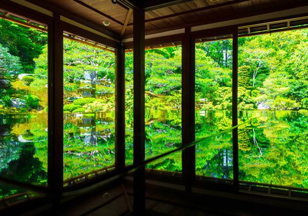 Èæ±Ã»³±äÎñ»û¤Î¹âÁΤα£µïË·¡ÖΤ˷¡×¤Î°ì¤Ä¡£Ìó3,300Ê¿Êý¥á¡¼¥È¥ë¤ÎÄí±à¤Ï¡¢È¬²¦»Ò»³¤ò¼Ú·Ê¤ËÃÛ»³¤äÂçµÜÀî¤ÎÀ¶Î®¤ò¼è¤êÆþ¤ì¤¿¶Ê¿å¡¦Â줬ÇÛ¤µ¤ì¡¢¹ñ¤Î̾¾¡¤Ë»ØÄꤵ¤ì¤Æ¤ª¤ê»¶ºö¤ò³Ú¤·¤à¤³¤È¤¬¤Ç¤¤Þ¤¹¡£¹ÈÍÕ¤äºù¤Îµ¨Àá¡¢ÄíÌÚ¤äÂݤÎÎФ¬Á¯¤ä¤«¤Ê½é²Æ¤Ê¤É¡¢»Íµ¨¤òÄ̤¸¤ÆÈþ¤·¤¤¤¿¤¿¤º¤Þ¤¤¤Ë¿´Ìþ¤µ¤ì¤Þ¤¹¡£¼ç²°¤ËÃÖ¤«¤ì¤¿ºÂÂî¤Ë±Ç¤ê¹þ¤ó¤ÀÄí¤ò¼Ì¤¹È¿¼Í»£±Æ¤¬¡¢ºÇ¶áSNS¤Ç¿Íµ¤¤ò½¸¤á¤Æ¤¤¤Þ¤¹¡£