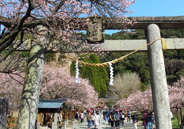 ��������Ԥ��ú¤���ƣ��ŷ���Ǥϲ�ζ�ߤ�Ѿޡ�