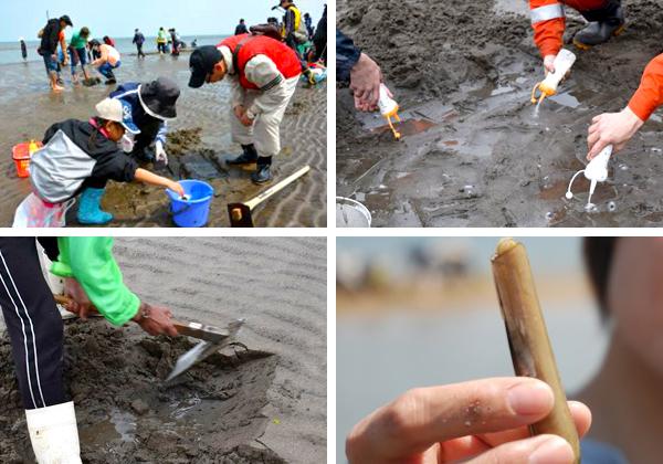 ����ä�������Ĭ������֥ޥƳ�����פ������ʡ�