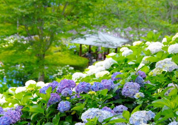 21����28000�ܤλ��۲֤��餯������������ˤ⡪