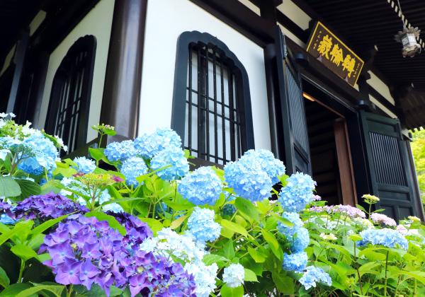 ���������̤���� Ĺë����ȬȨ�ܡ���ʩ�ͤ�ˬ�ͤ�ͥ������ι 4����