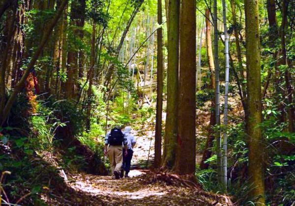 [ʡ��ȯ] �彣����������祦�������󥰥ե����ƥ��Х��������2026 in ������������