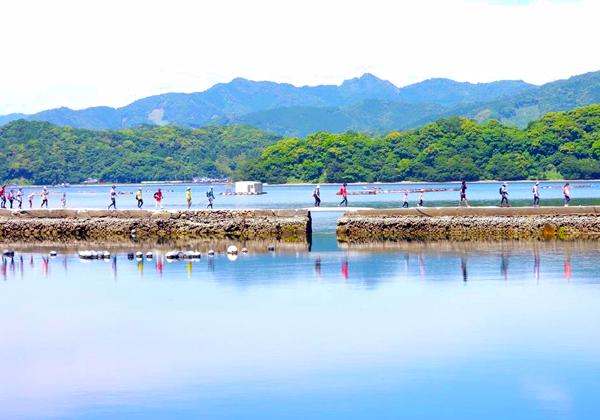 [�̶彣ȯ] �彣����������祦�������󥰥ե����ƥ��Х��������2026 in��