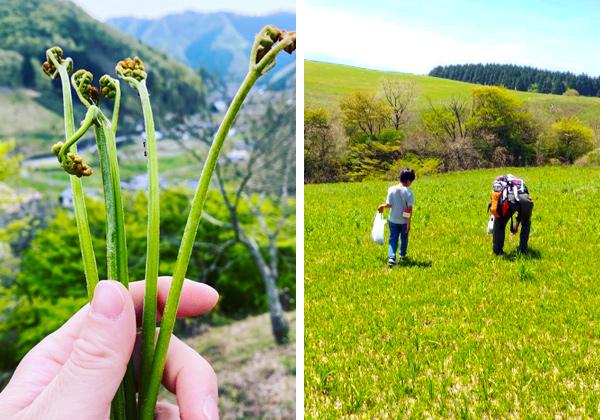 GW�˹Ԥ������Ӽ���ߥ��ƥ꡼�ĥ���