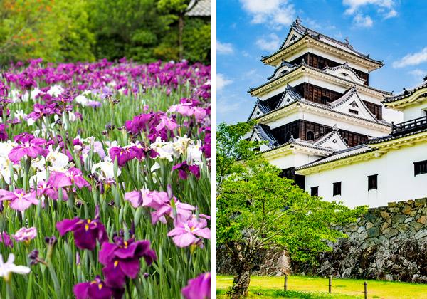 ̾����ŷ�ϱ�פβ־Գ��Ѿޤȡ��罧��׸��ؤ⡪