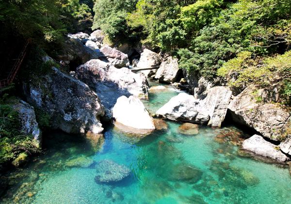 ����֥롼�ȸƤФ����ή���ϡ����ŷ�ë�׻�����