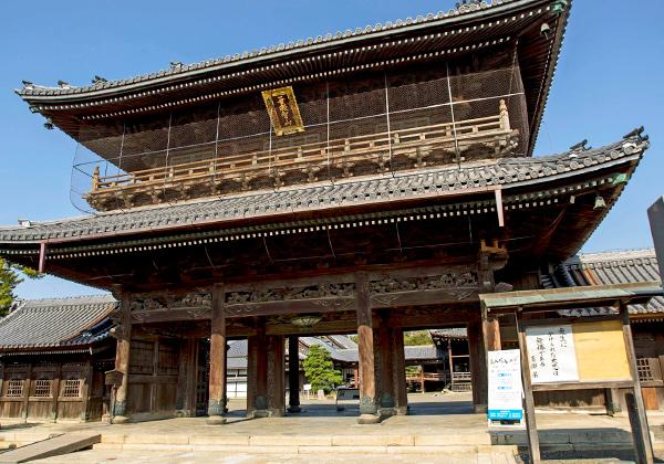 ˭�äν����벼Į����Ϥޤ�ʪ���˭��������פȶṾ���ʤٸ���